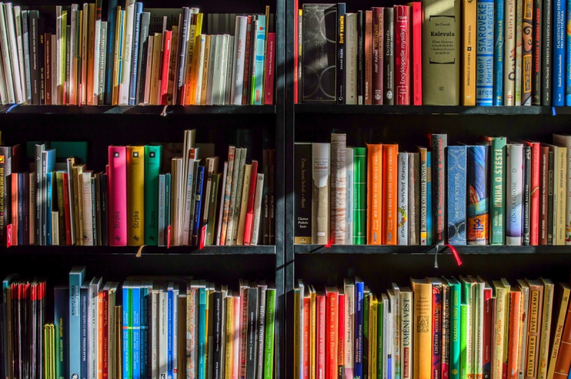 vente-VINS SUR CARAMY-min_books_bookstore_book_reading_shop_writer_sale_books_read-822866